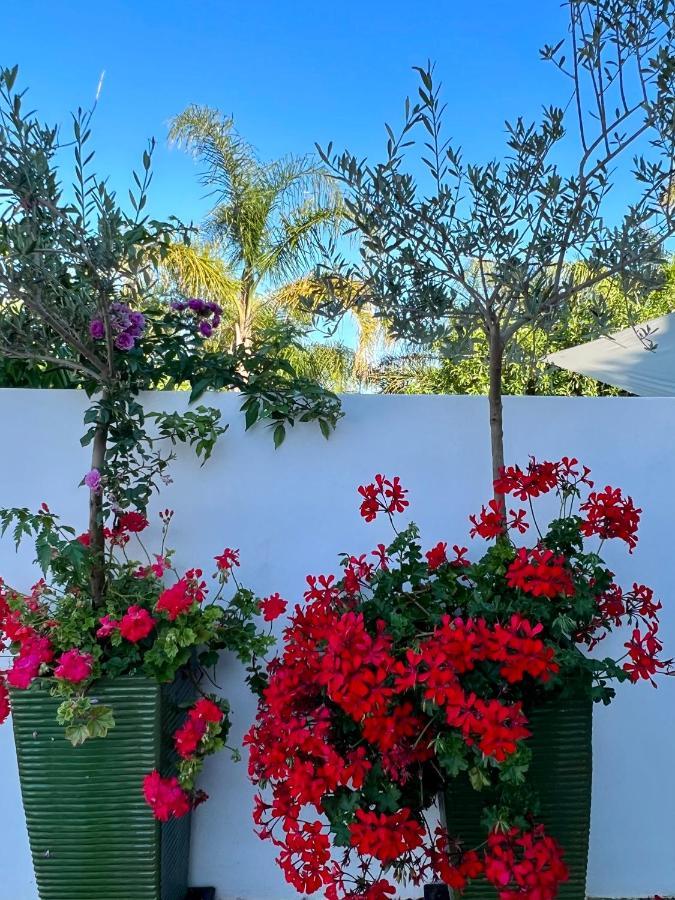 Palm View Guesthouse, Adults Only Luz Esterno foto