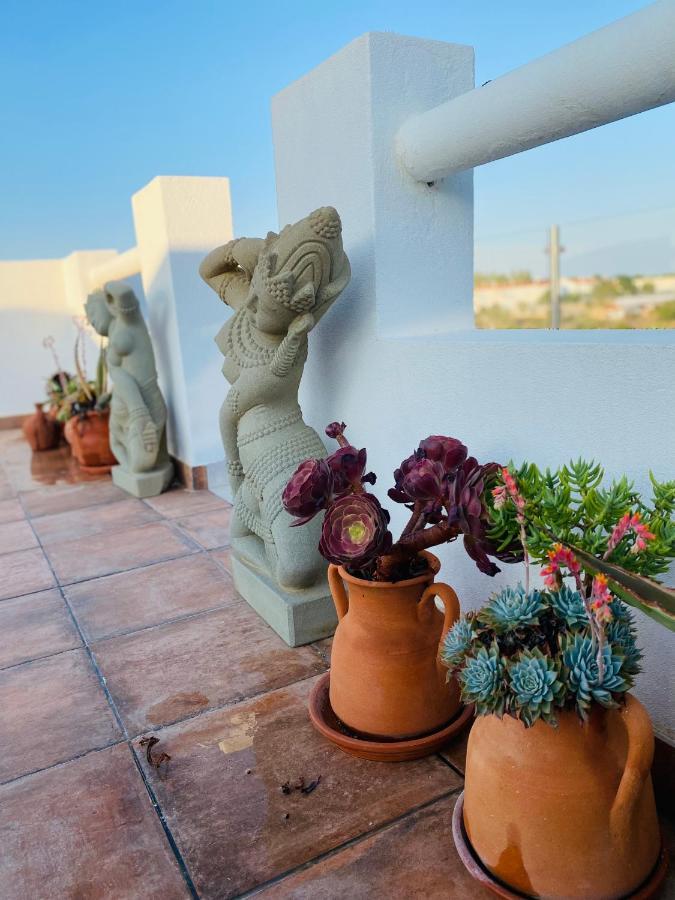 Palm View Guesthouse, Adults Only Luz Esterno foto