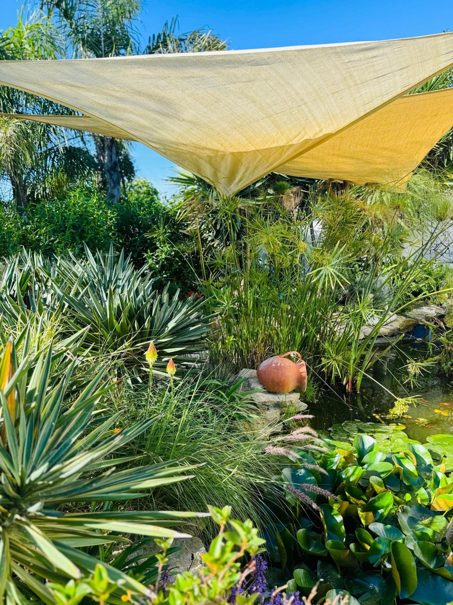Palm View Guesthouse, Adults Only Luz Esterno foto