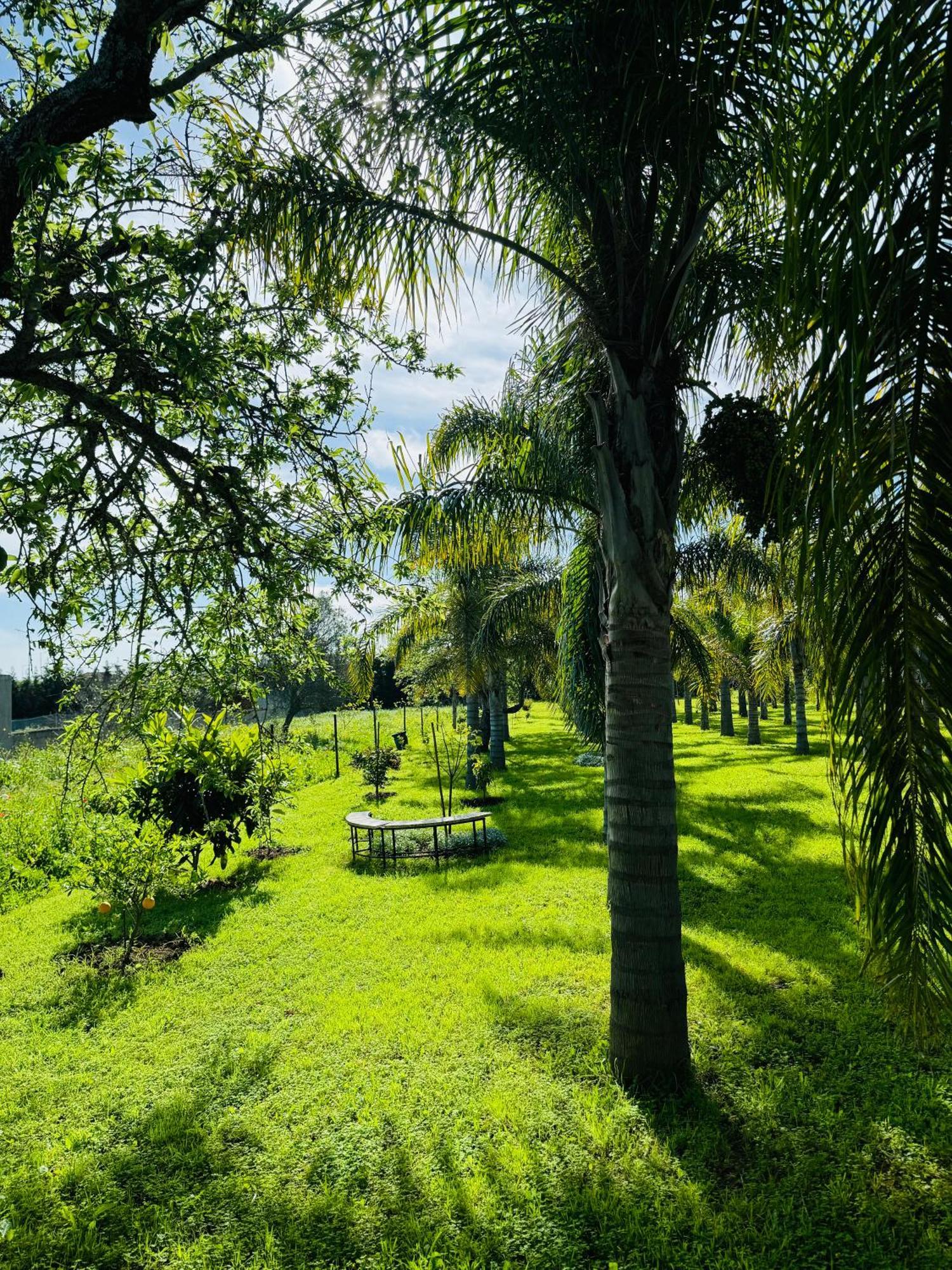 Palm View Guesthouse, Adults Only Luz Esterno foto